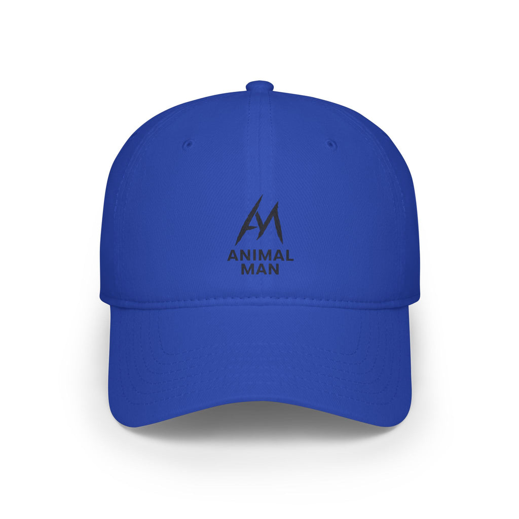 Trendy Low Profile Baseball Cap, Casual Hats, Gift for Him, Summer Accessory, Custom Cap, Streetwear Style