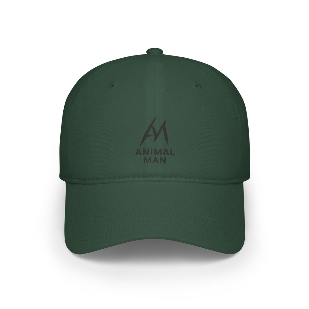 Trendy Low Profile Baseball Cap, Casual Hats, Gift for Him, Summer Accessory, Custom Cap, Streetwear Style