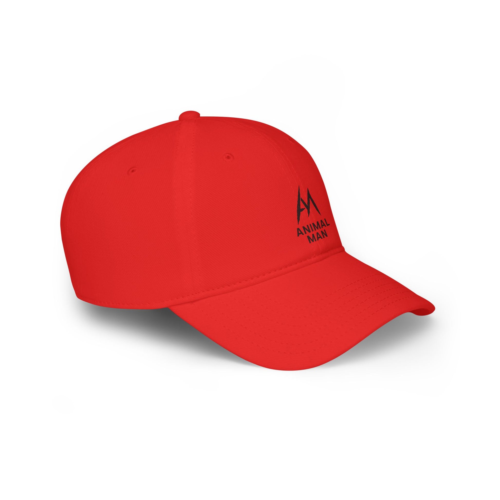 Trendy Low Profile Baseball Cap, Casual Hats, Gift for Him, Summer Accessory, Custom Cap, Streetwear Style