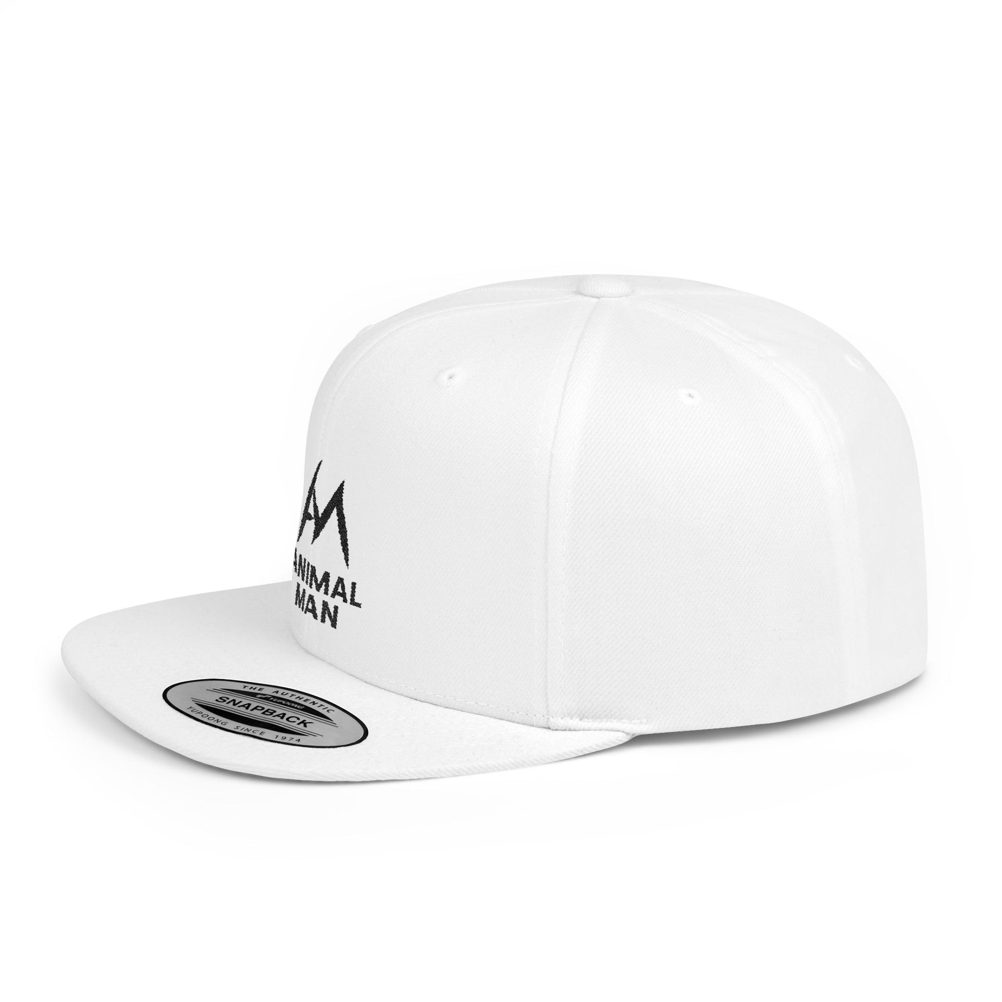 Snapback Hat City Peak Design