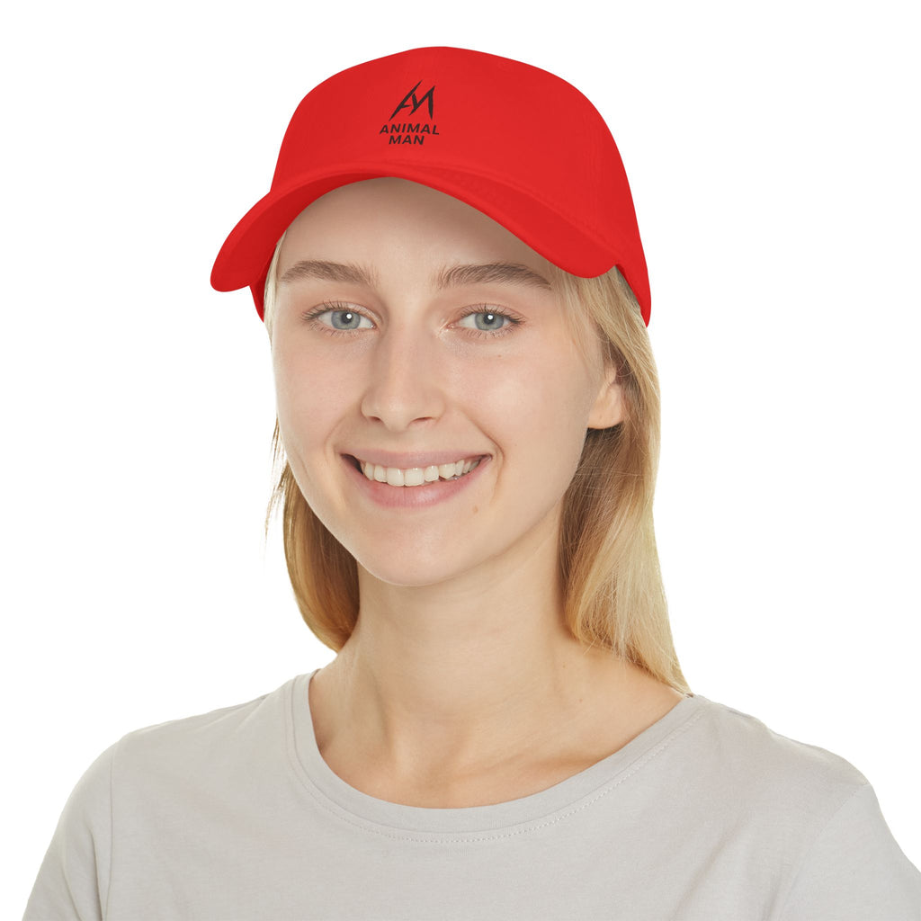 Trendy Low Profile Baseball Cap, Casual Hats, Gift for Him, Summer Accessory, Custom Cap, Streetwear Style