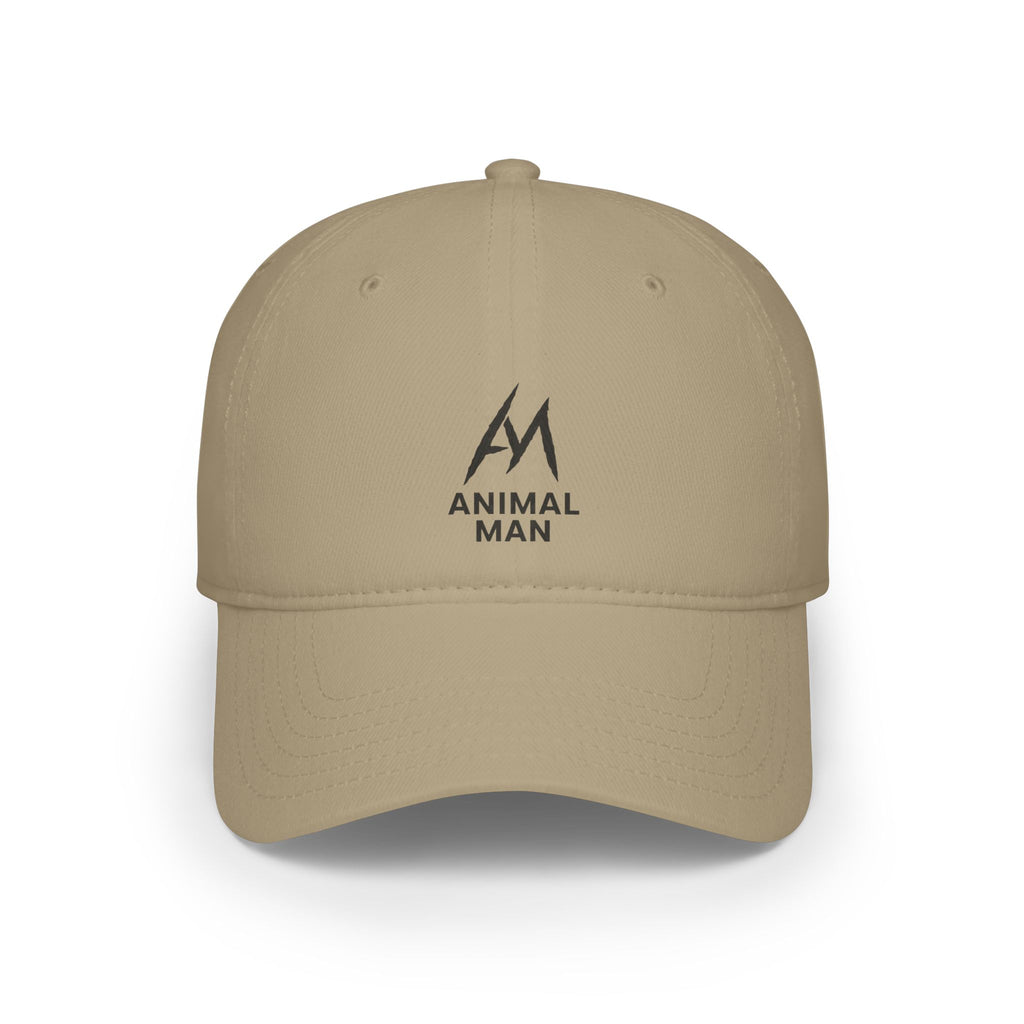Trendy Low Profile Baseball Cap, Casual Hats, Gift for Him, Summer Accessory, Custom Cap, Streetwear Style